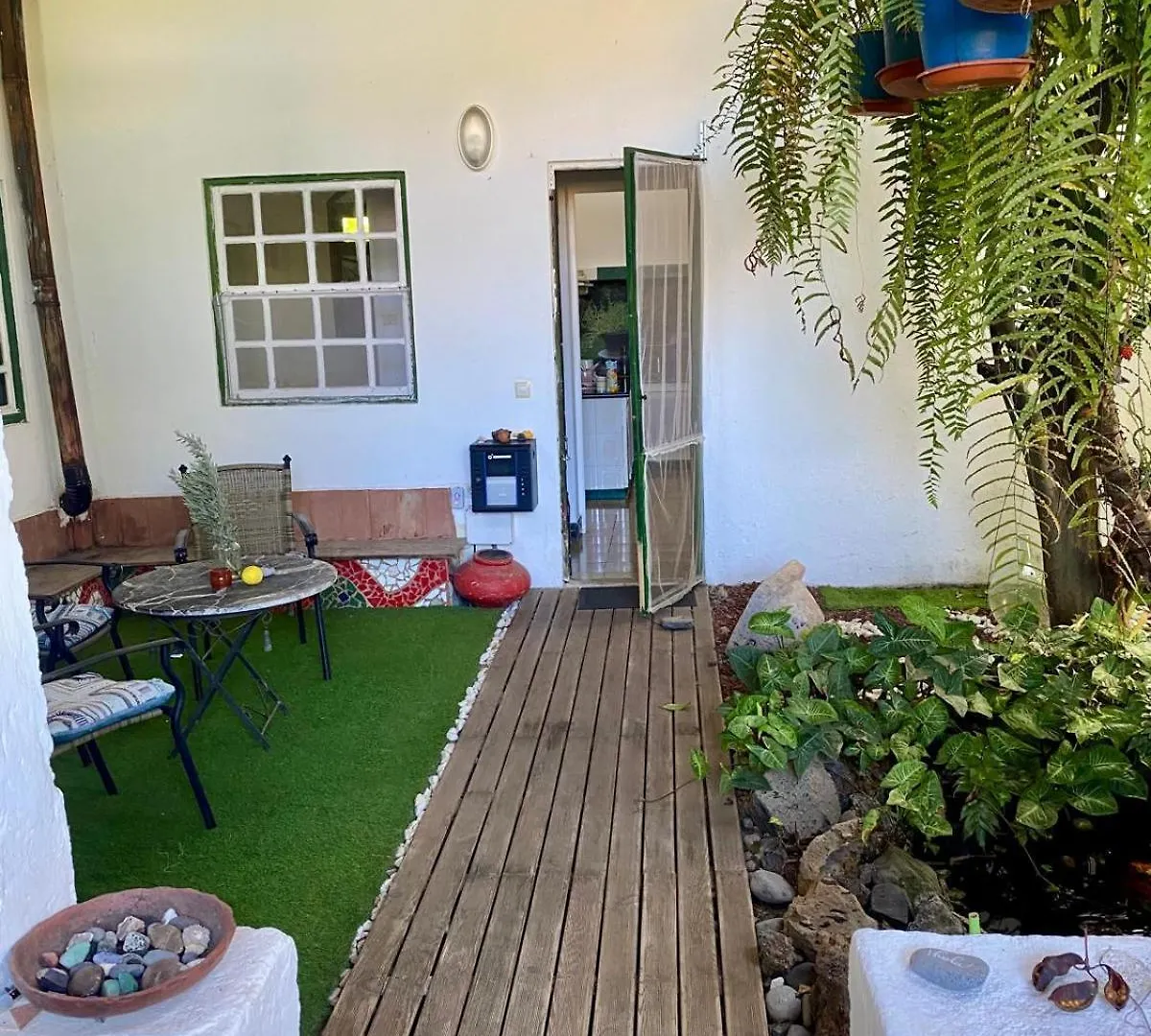 Casa vacanze Espacio Antares Icod De Los Vinos