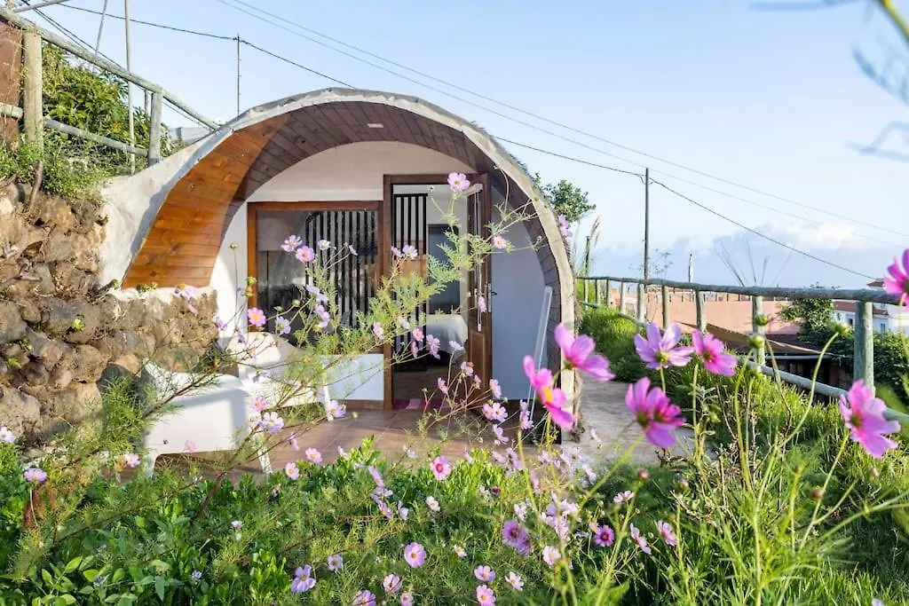 Tatil Evi Espacio Antares Icod De Los Vinos